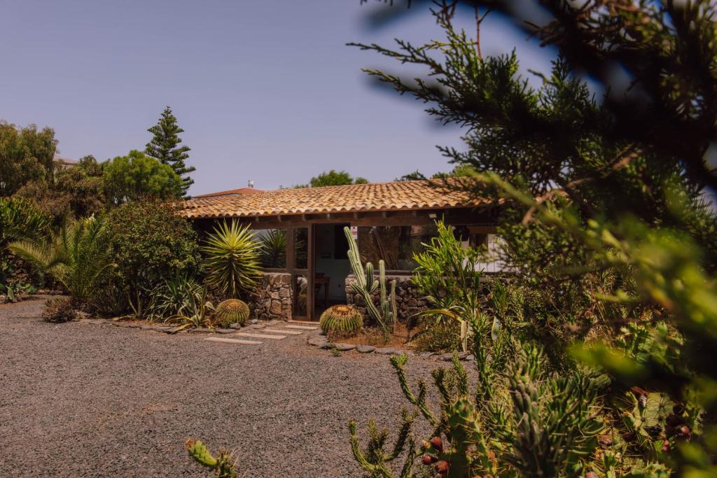El Patio de Lajares - landhuis in de tuin