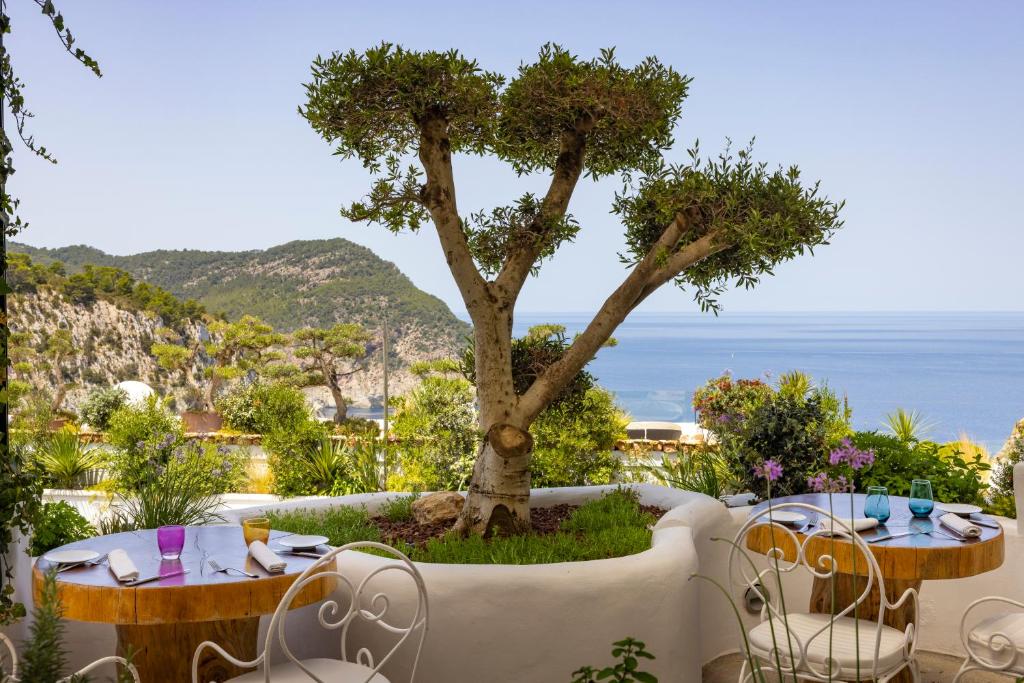 Hacienda Na Xamena - terras met olijfboom en zeezicht