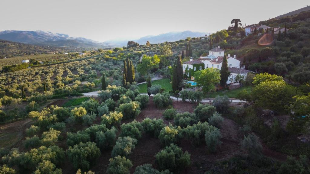 Hotel La Fuente de la Higuera - het landhuis tussen de olijfbomen