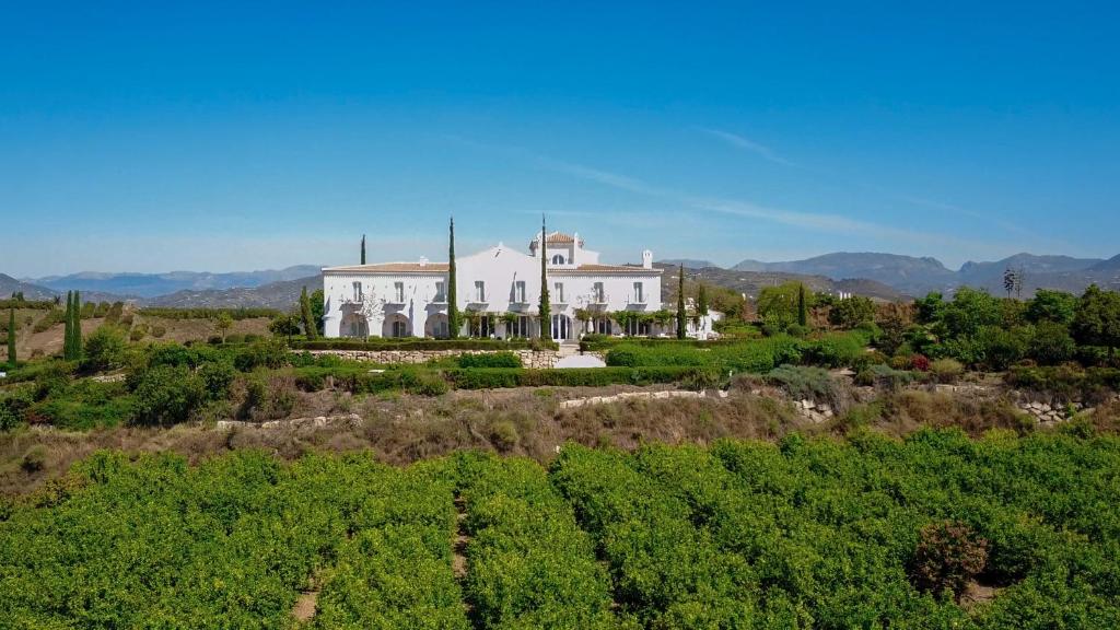 B Bou Cortijo Bravo - het landgoed in het landschap