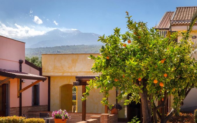 Tuin van Hotel La Terra dei Sogni op Sicilie