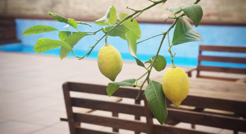 zwembad van Hotel Onix Liceo