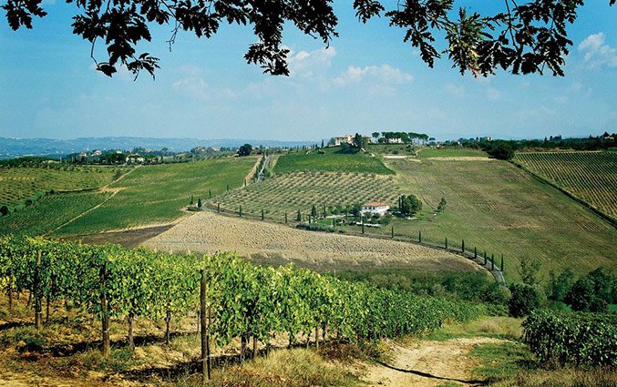 Omgeving van Bed and breakfast Poderi Arcangelo in Toscane