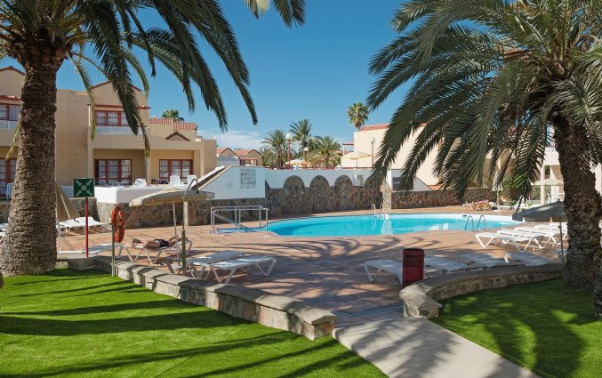 Zwembad van appartementen The Koala Garden Suites in Gran Canaria
